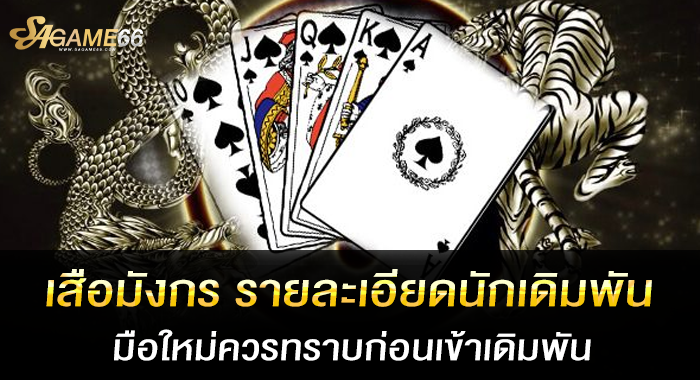 เสือมังกร รายละเอียดนักเดิมพันมือใหม่ควรทราบก่อนเข้าเดิมพัน